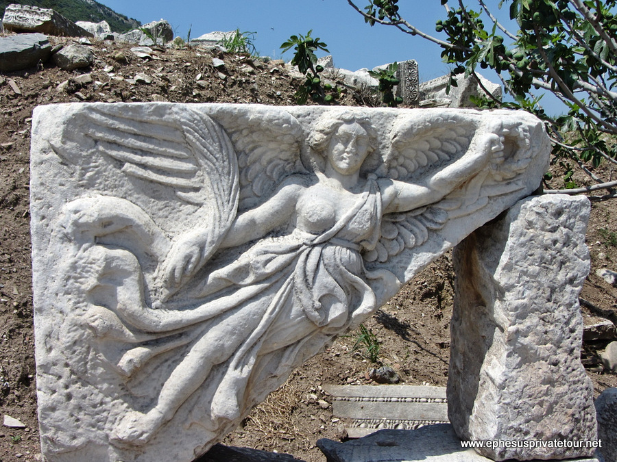 Éfeso y PMD Información thmb img