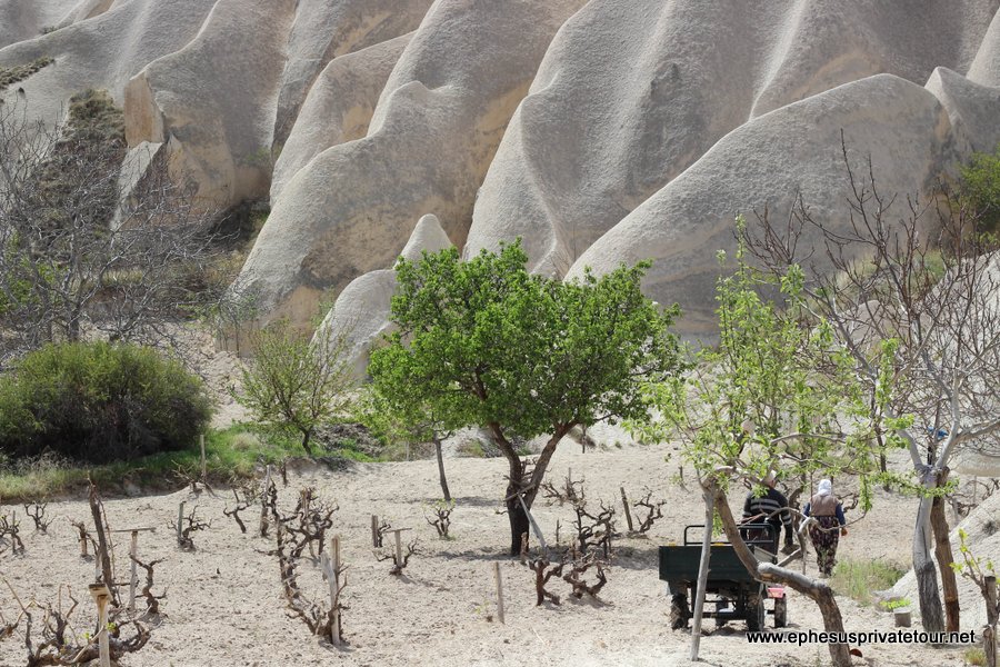 Valle de las Rosas, ciudad bajo tierra de Kaymakli Capadocia thmb img